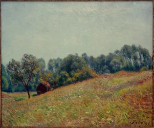 The Valley