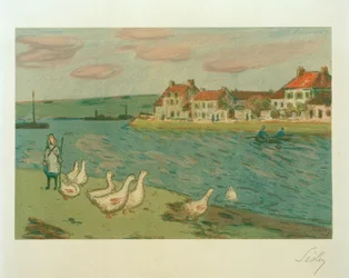 The Geese