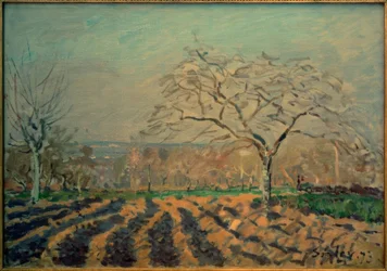 The Furrows