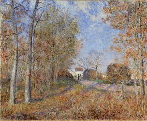 Road at the Forest Edge