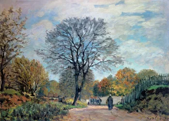 Unknown Image