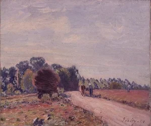 Unknown Image