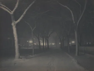 An Icy Night