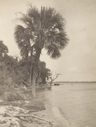 At Rockledge, Florida