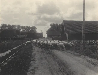 Going to Pasture