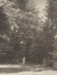 “Hedwigsweg” II, Lake George