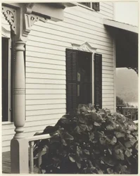 House and Grape Leaves