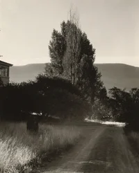 House and Poplars, Lake George