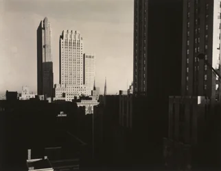 New York from the Shelton