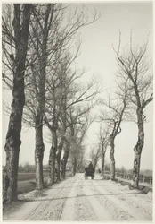 November Days