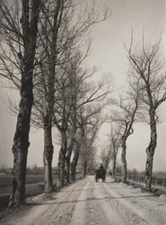 November Days