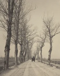 November Days