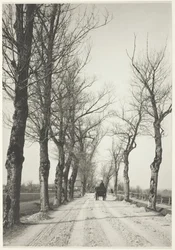 November Days