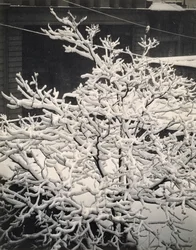 Out of Window - 291 - N.Y.