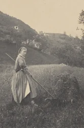 The Harvest, Mittenwald