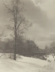 Winter (Central Park)