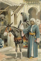 Arabian Nights: The History Of Aboulhassan And Schemselnihar