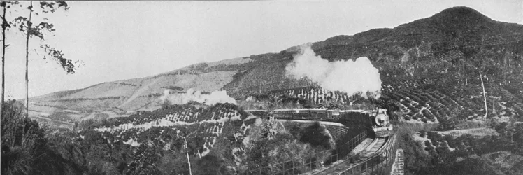 A Scene on the Up-Country Railway. Passing a Tea Estate at Nanu Oya, c1890, 1910