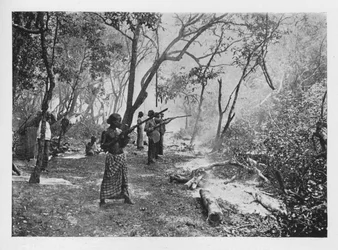 Elephant Kraaling in Ceylon Towards the Stockade