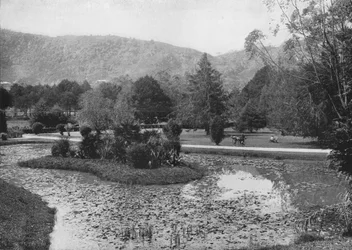 Hakgalla Gardens from the Lotus Pond, Nuwara Eliya