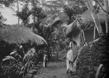 Native Huts in the Jungle