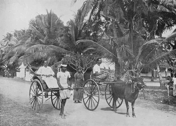 Rickshaw and Racing Hackery, c1890, 1910