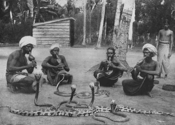 Snake Charmers, c1890, 1910