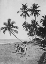 The Side of the Silver Sea, c1890