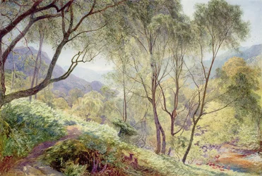 Ullswater from Gowbarrow Park, 1864