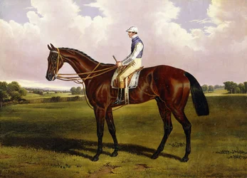 Bloomsbury, A Chestnut Racehorse with Sam Templeman Up, in a Landscape