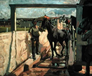 The sulphur dip for mange