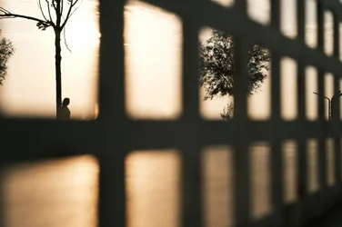 Golden Hour Silhouette