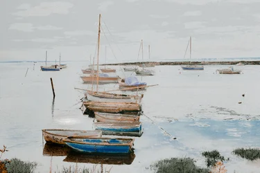 Boats in Leigh Harbour, 2018