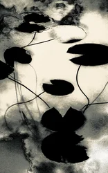 Gold Dust Shadows, from the series Spring, 2020