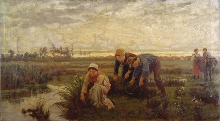 Rush Cutters