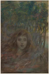 Vision through Woods