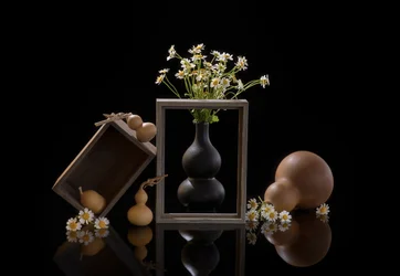 Natural Gourd Still Life