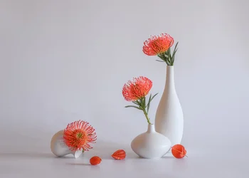 Orange Protea Vases