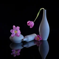 Reflected Purple Tulips