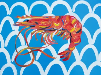 Colorful Ocean Shrimp