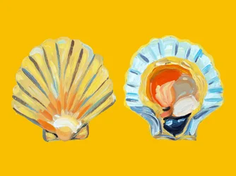 Golden Scallop Shells