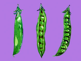 Vibrant Green Peas