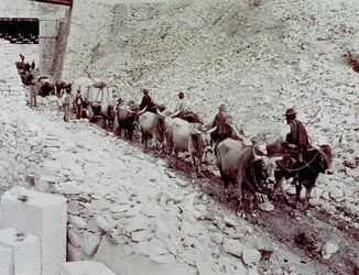 Scene showing marble blocks being transported from a quarry in Carrara. The wagon is being drawn by ten oxen
