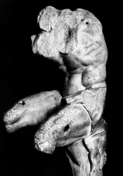 The Belvedere Torso by Apollonios of Nestor, c.1890