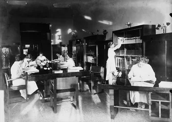 Villa Rosa Maltoni Mussolini: studying in the library