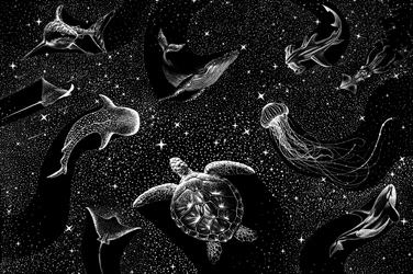 Cosmic Ocean Animals