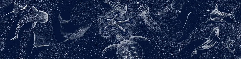Cosmic Ocean Dream