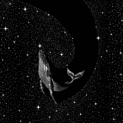 Cosmic Whale