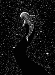 Cosmic Whale Shark