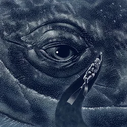 Deep Ocean Whale Encounter
